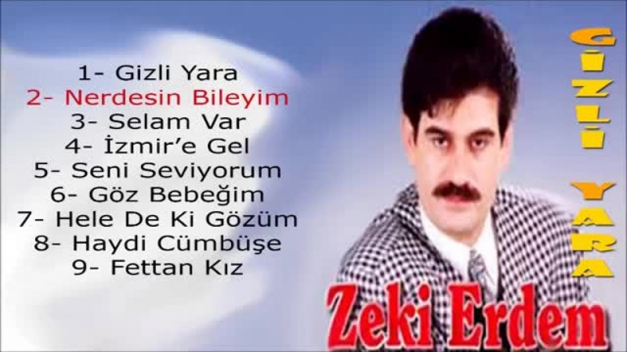 Zeki Erdem - Nerdesin Bileyim
