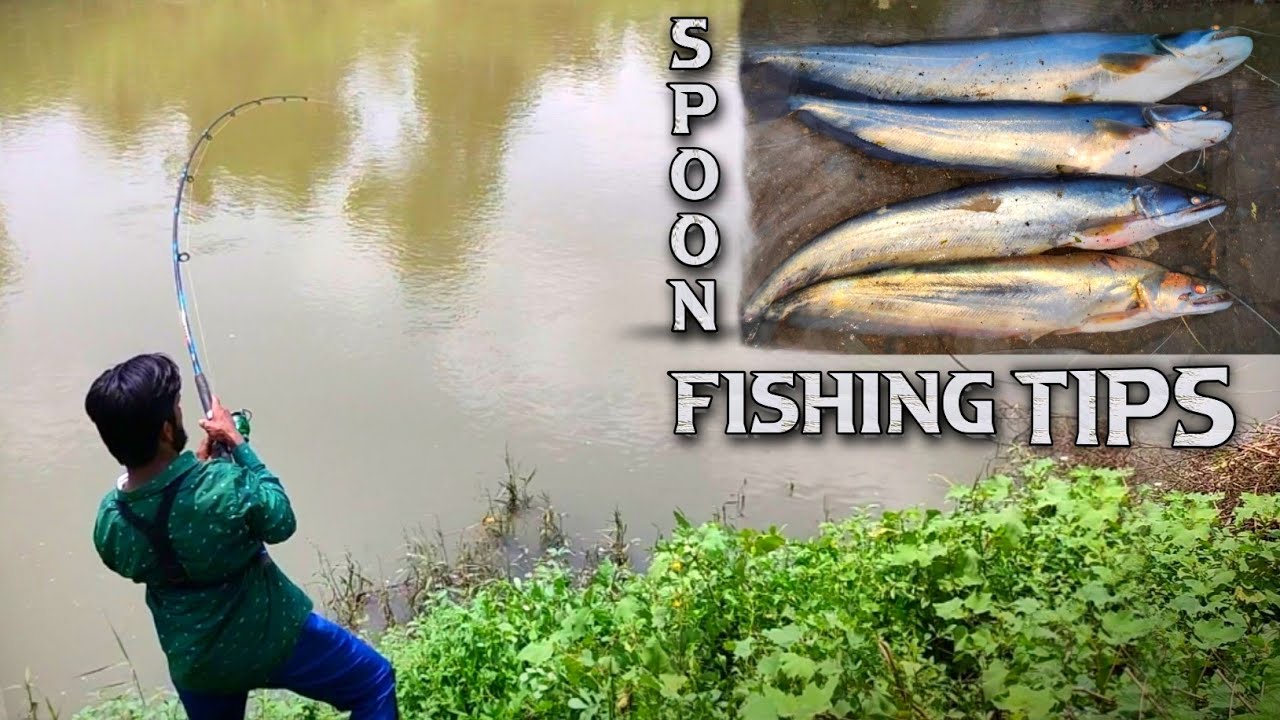 Big Fish Fishes Catching Spoon Fishing | Back to Back Patan Fishing in River | Machhali Pakdane wala