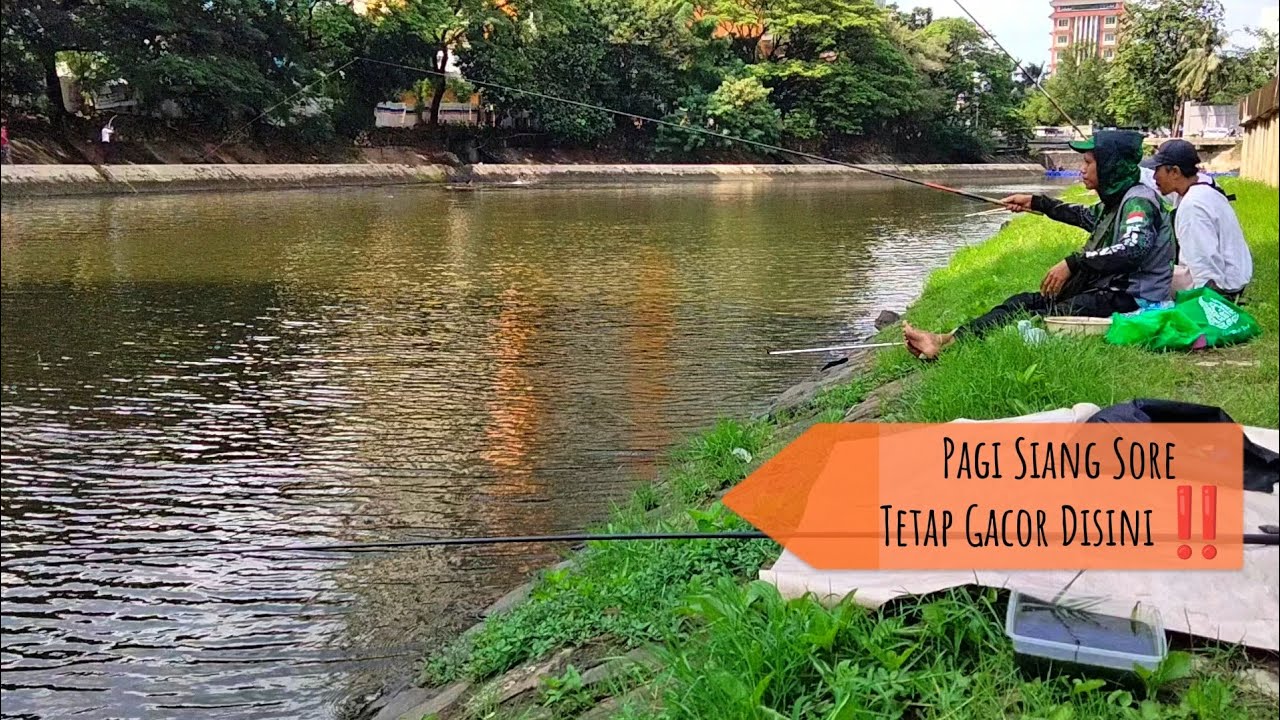Pagi Siang Sore Tetap Bagus Mancing Disini‼️ Mancing Liar Jakarta