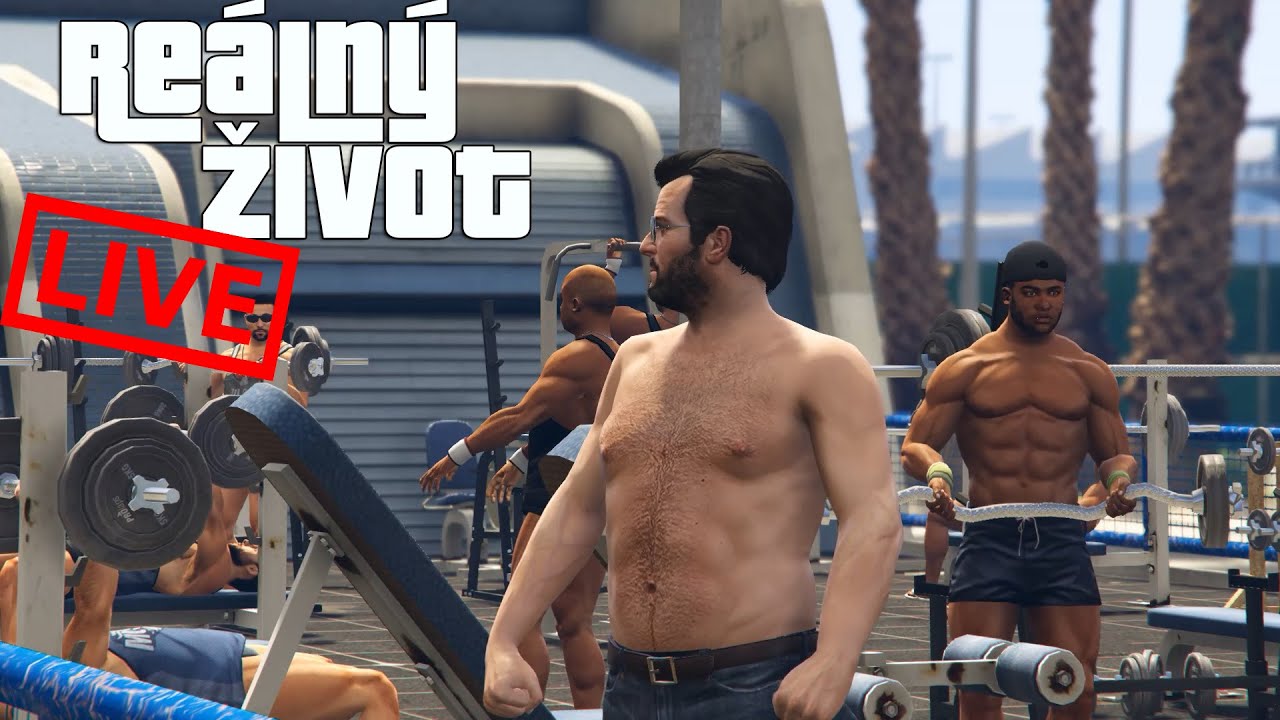 [GTA] - Re&aacute;ln&yacute; život - Z&Aacute;ZNAM