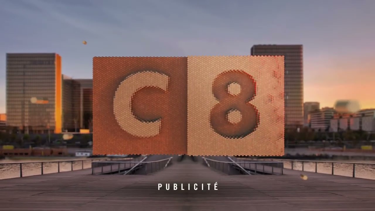 C8 03 Janvier 2022 - Retour pub TPMP