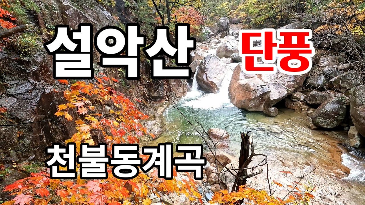 [우중] 천불동계곡 탐방 | 설악의 깊은 가을속으로 | 비선대 양폭대피소