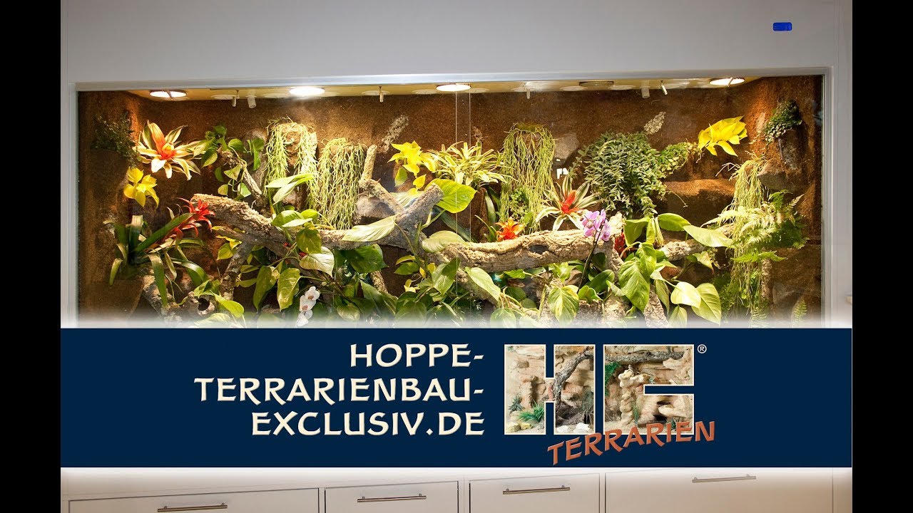 290 langes Regenwaldterrarium f&uuml;r Smaragdwarane