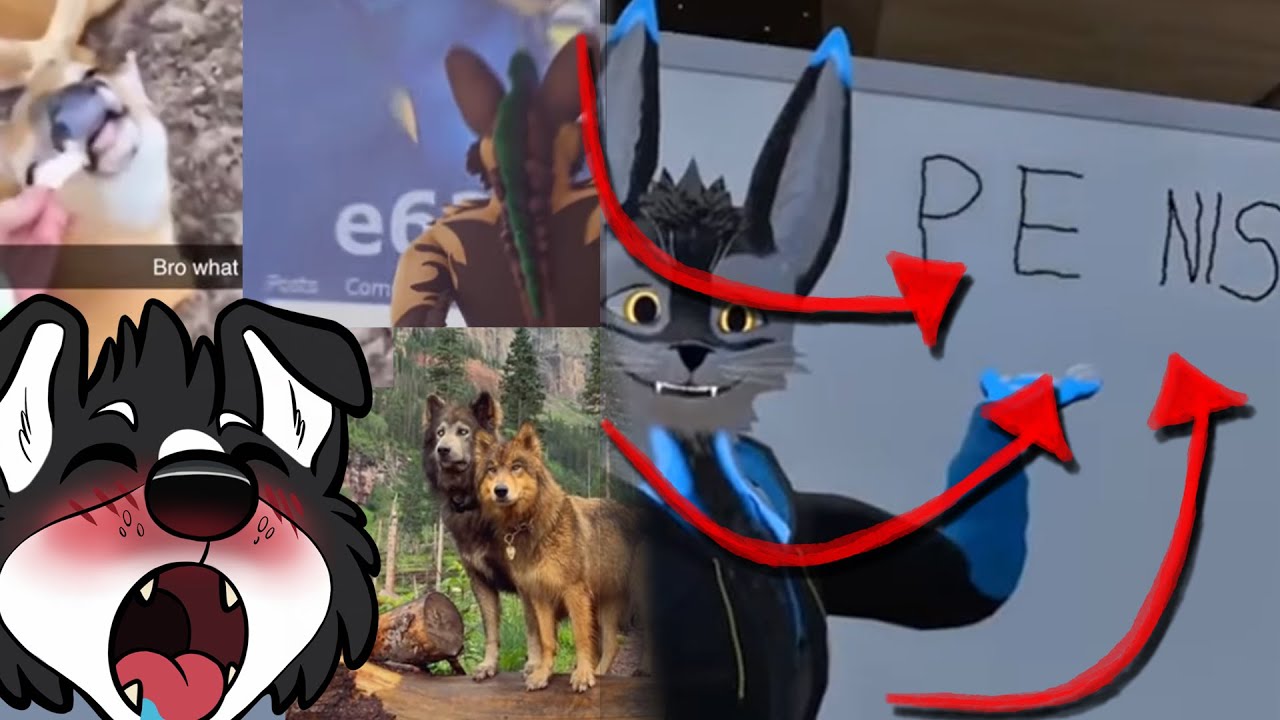 Furry Tiktoks that'll quench your thirst