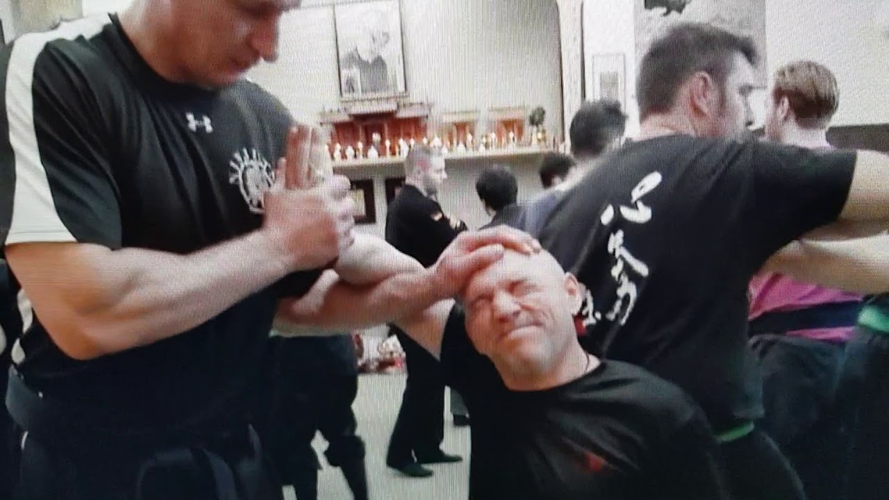Bujinkan Ninjutsu Christophe Ayen Dai-shihan