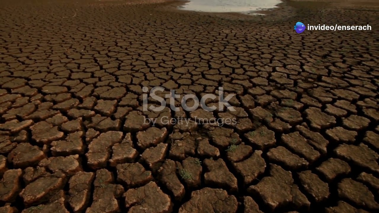 Water: The Lifeline of our Planet