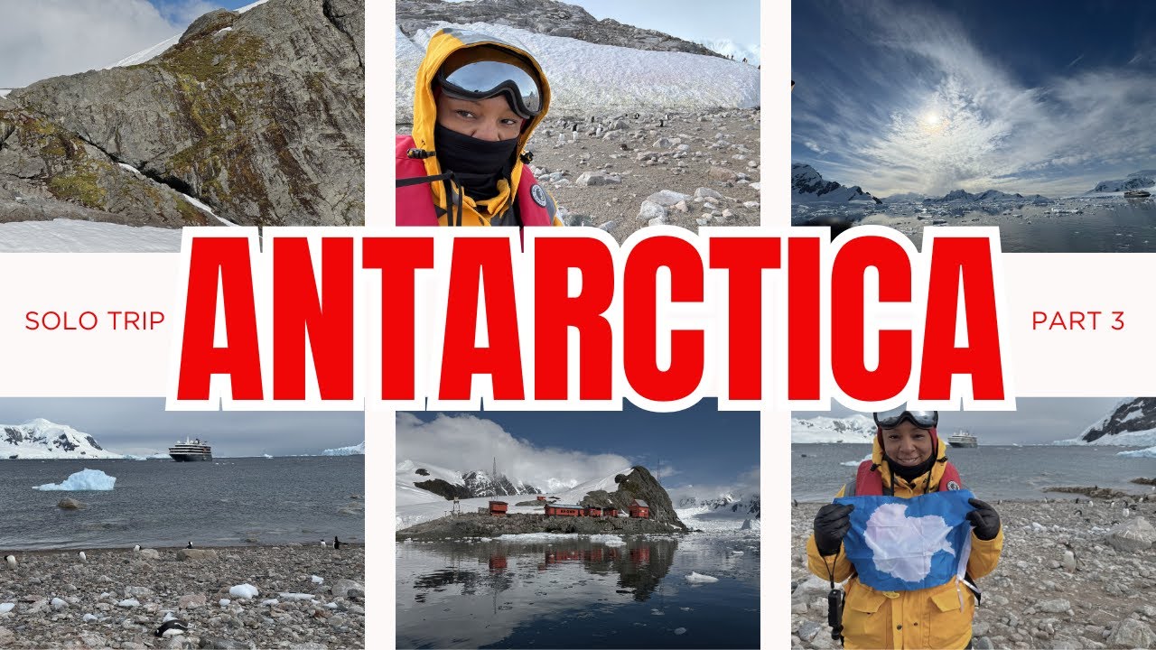 Waking up to Whales | Stepping on the Peninsula | Seals Chasing Penguins