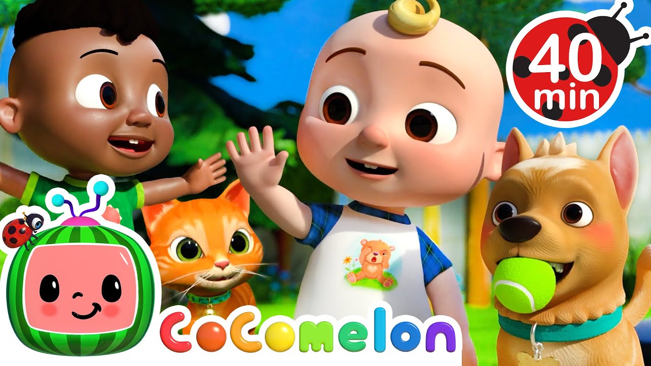 Amici pelosi | CoComelon Italiano - Canzoni per Bambini