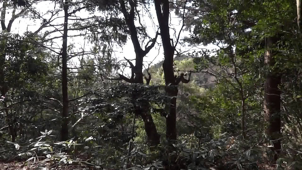 大阪府豊能町高代寺周辺