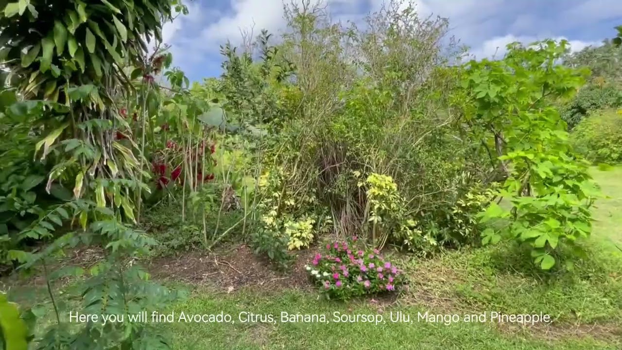 Hawaii Real Estate - Off-Grid Oceanview Getaway! 🌺