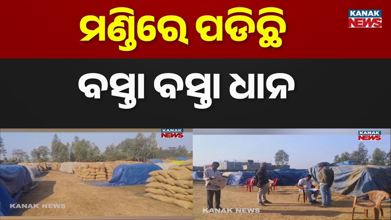 Paddy Left in Mandi Amid Millers' Strike: Farmers Protest in Sambalpur, Odisha