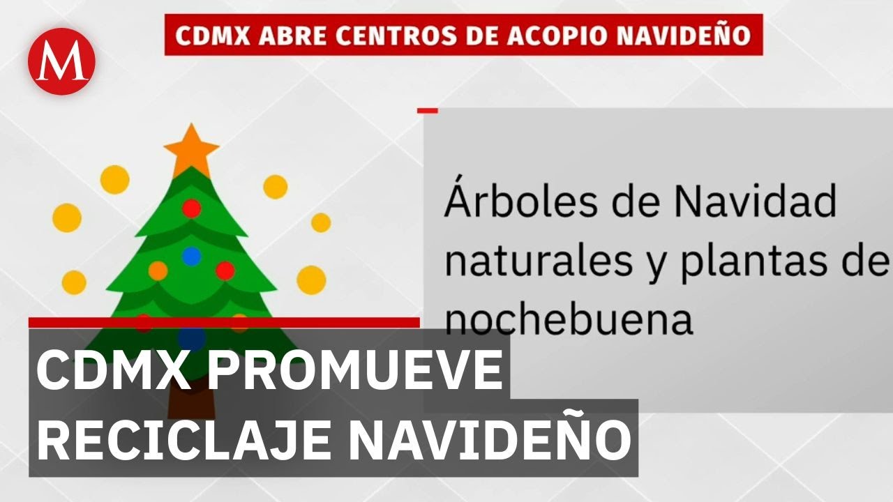 CdMx abre centros para recolectar &aacute;rboles de Navidad y plantas de Nochebuena