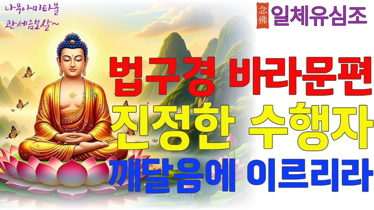 법구경 16장~21장 잠자는 동안 깨달음에 이르리라#법구경 #바라문편 #불교음악 #깨달음 #청정한삶