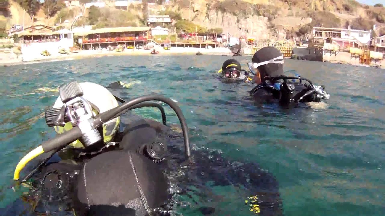 Bautismo Buceo Quintay Australdivers 1 de 3