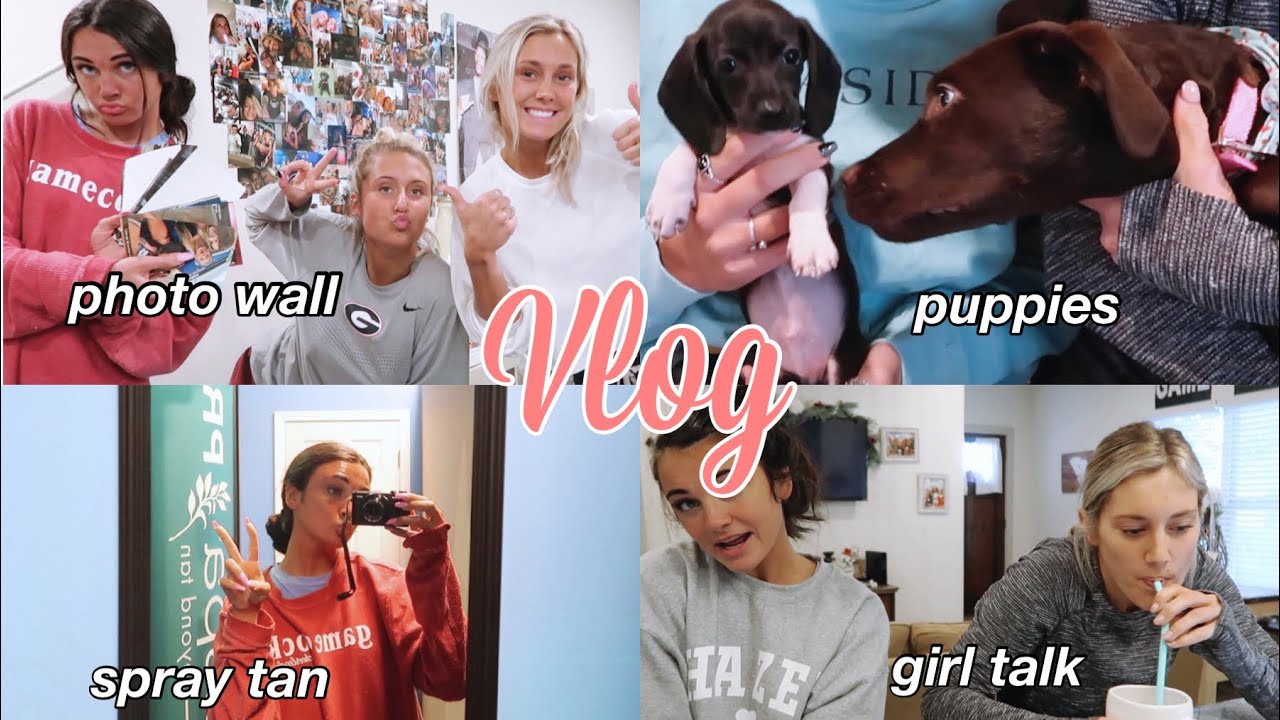 VLOGMAS 8 | spray tans, workout, puppies, photo wall