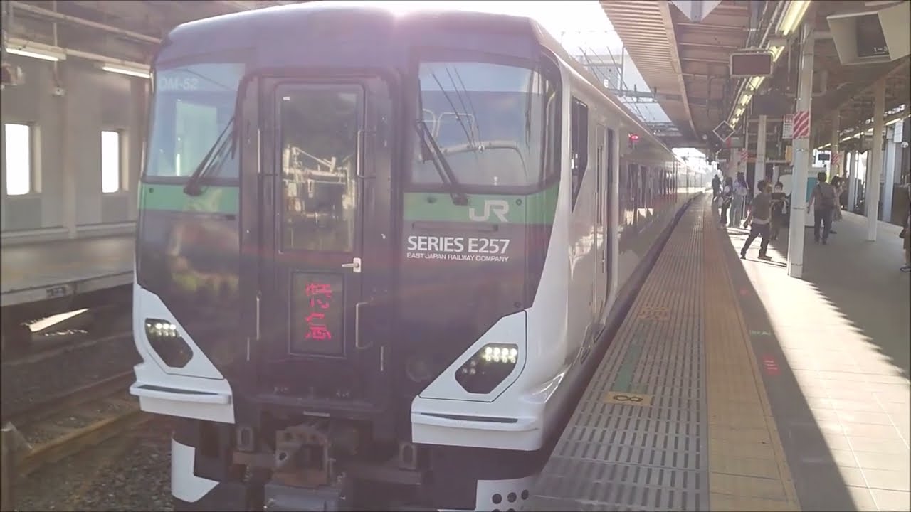【祝!!🎊武蔵野線に特急が誕生!!】ホリデー快速から昇進!!