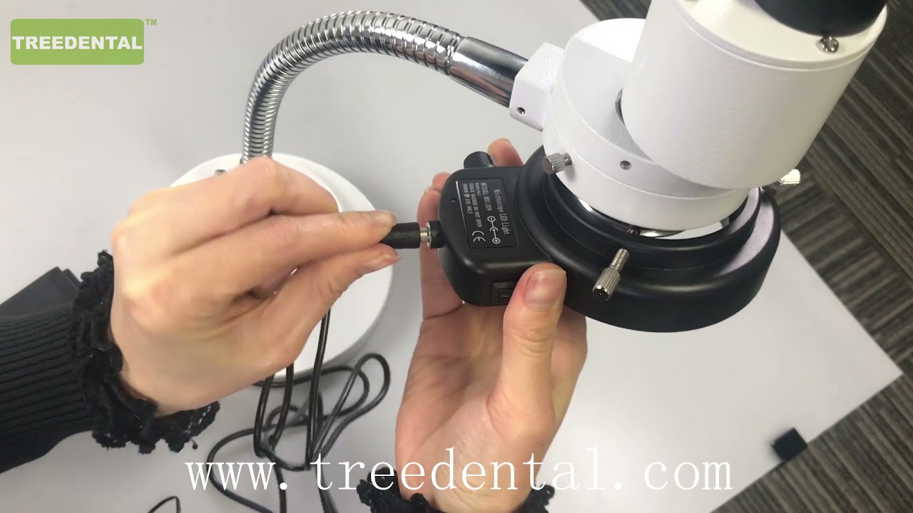 8X Dental Lab Equipment Microscope，Binocular Fixed Power Stereo Microscope