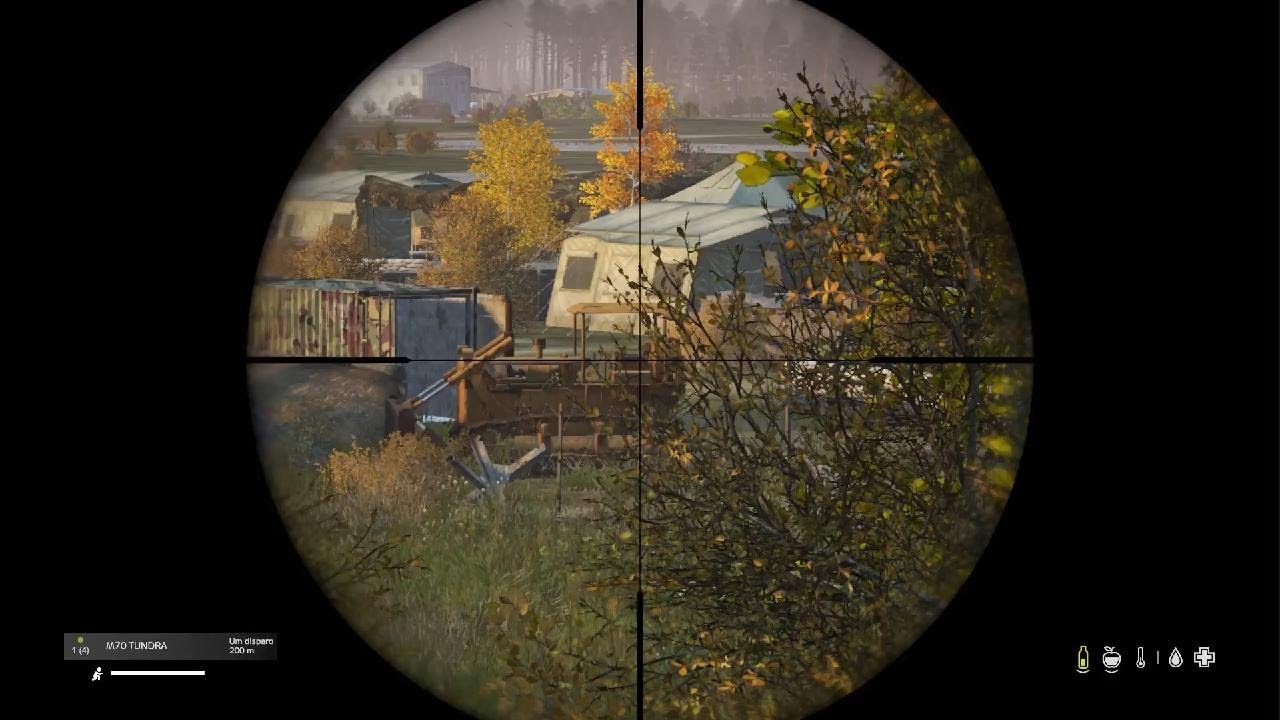 DayZ