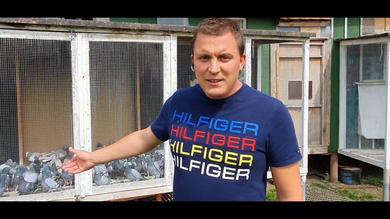 Damian Lisowski - PZHGP 0218 Góra-Wschowa / Przygotowanie Młodych Gołębi Przez Mistrza !