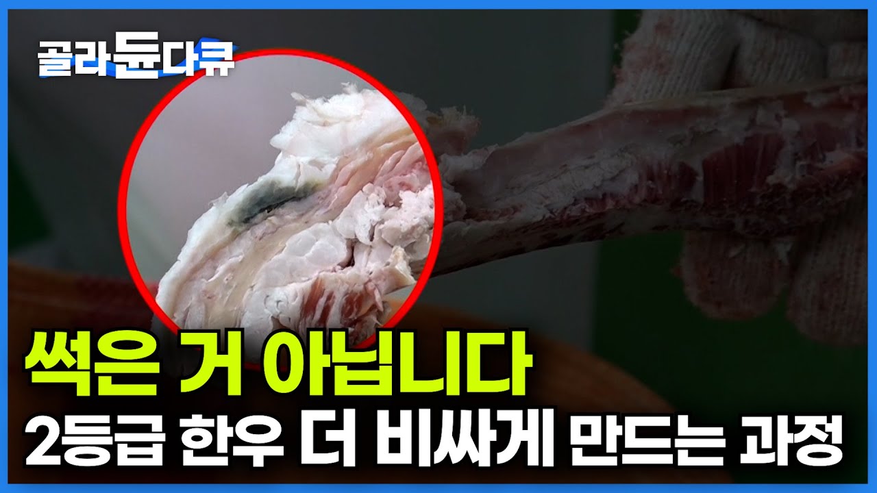 생각지도 못한 한우 먹는 방법으로 마니아층 확실히 챙긴 차원이 다른 소고기 맛｜한우 숙성도 숙성 나름이라고?｜소고기 드라이에이징ㅣ극한직업｜#골라듄다큐