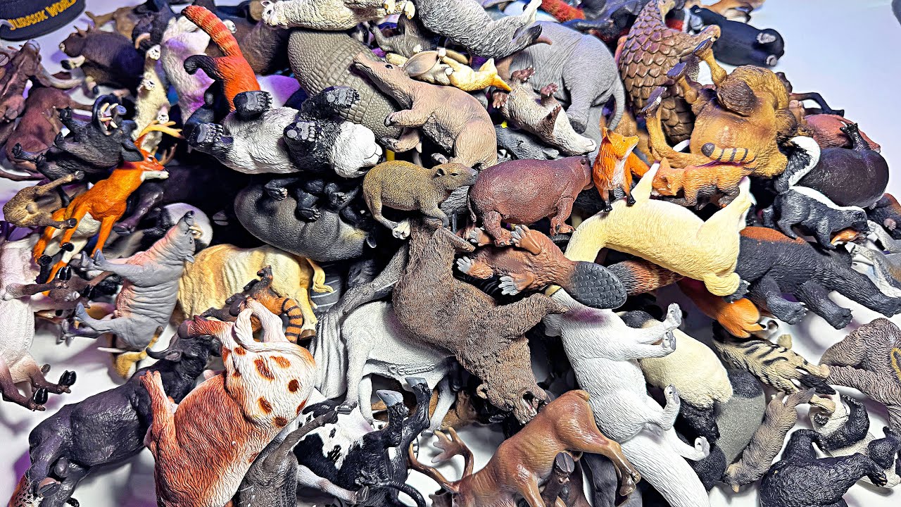 300 Wild Animals Toys - Bear, Moose, Deer, Buffalo, Pangolion, Anteater, Bull, Hippo, Giraffe, Zebra