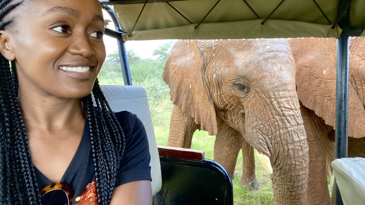 Namibia series| Omaruru travel VLOG | Elephants encounter