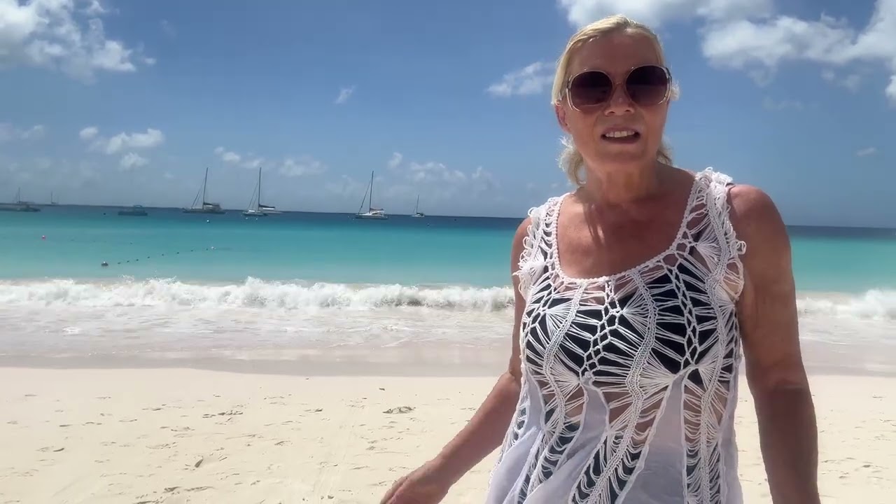 VIVY ON BROWNS BEACH BARBADOS