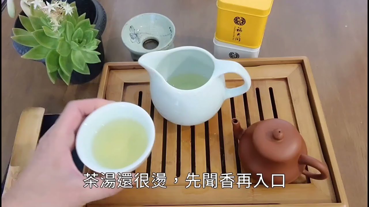 泡茶分享 【阿里山樟樹湖烏龍茶】2021年春茶 Alishan Oolong tea-Zhangshu Lake.