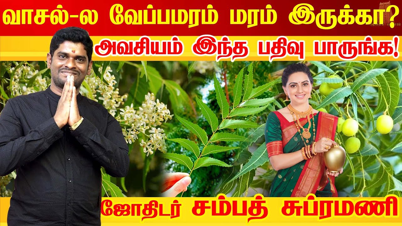 வீட்டு வாசலில் மரம் இருந்தா விபரீதமா? வாஸ்து ஆராய்ச்சியாளர் Dr. Sampath Subramani | vastu tips tamil