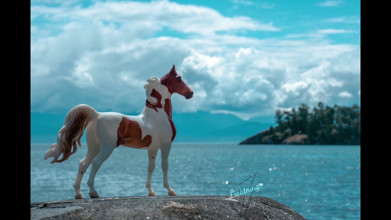 Breyer Model Horse Photography 2021
