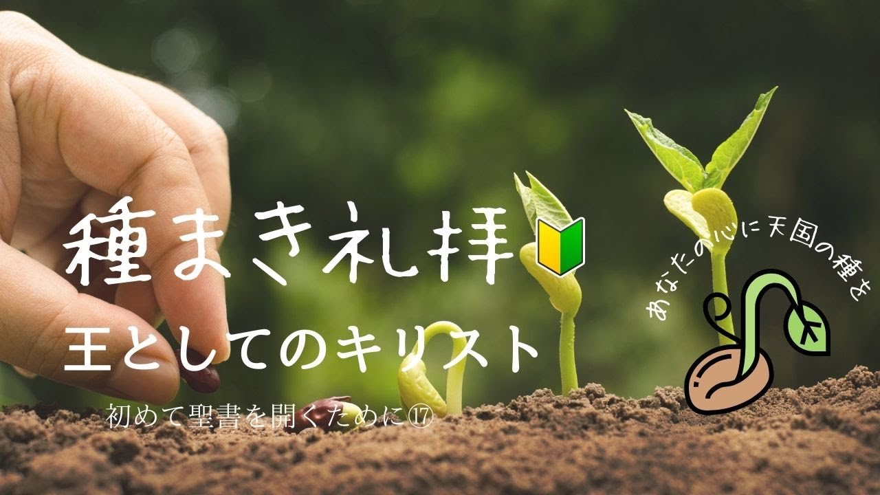 2026年2月15日　種まき礼拝　王としてのキリスト〜王なのになぜ？　ヨハネ13章1〜15節