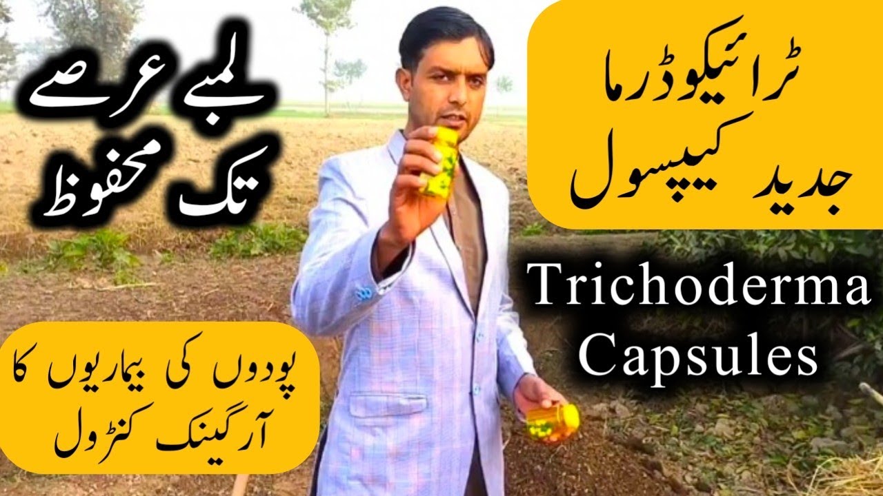 Trichoderma Capsules first time in Pakistan | Trichoderma Capsule | How to use trichoderma capsule