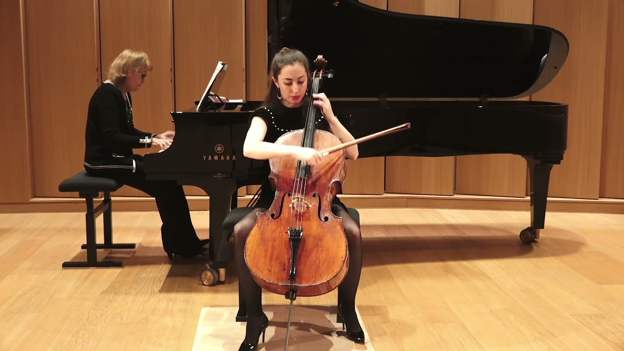F. Schubert : sonata arpeggione in a minor , first movement