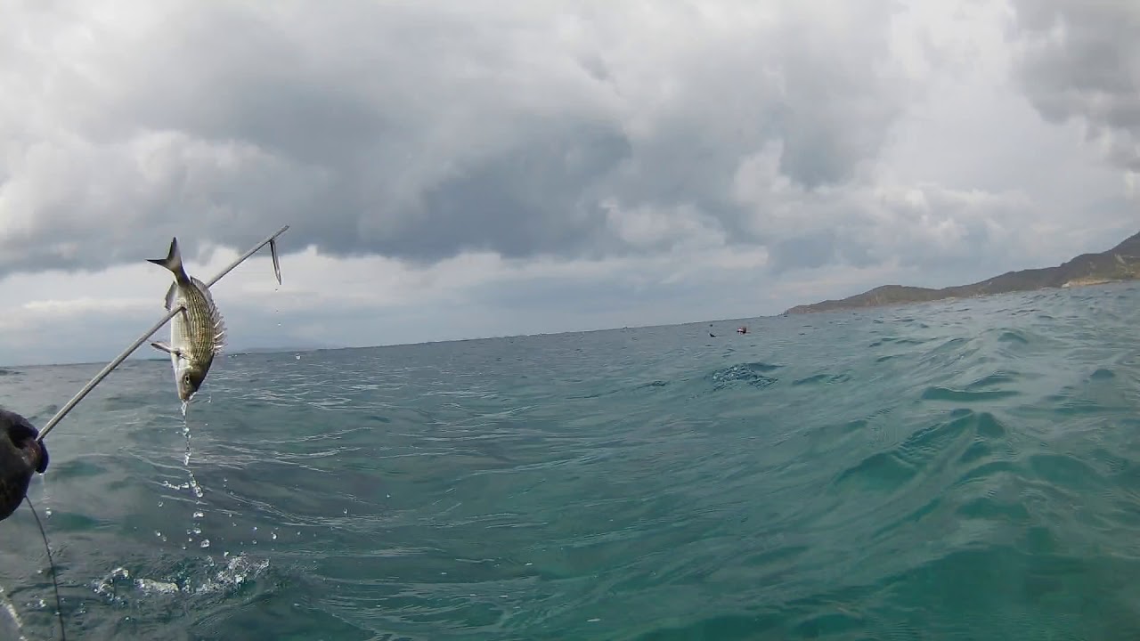 karaburun zipkinla sargoz avı