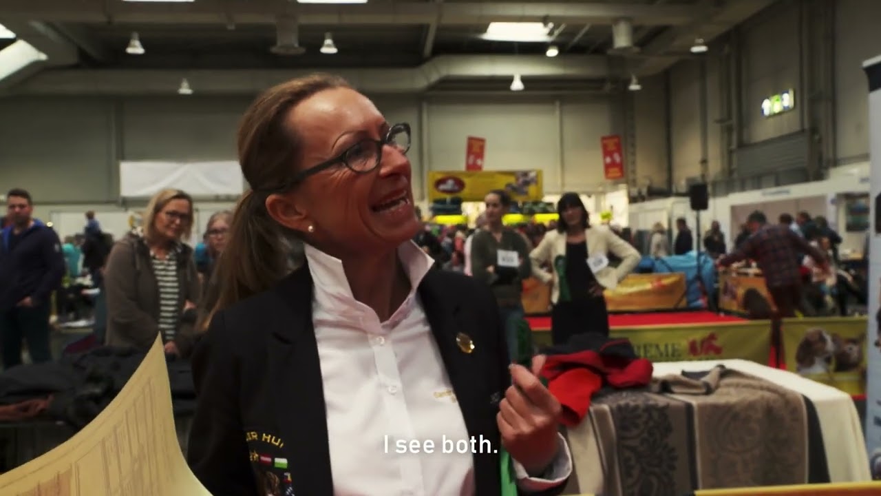 Einblicke in die CACIB Hundeausstellung des IHV e.V. zur Heimtiermesse Hannover Smart Toller Akiro