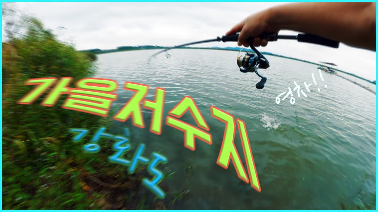 풀영상 인천 강화 장흥 2저수지 2번째 탐방  #배스낚시 #fishing #저수지낚시