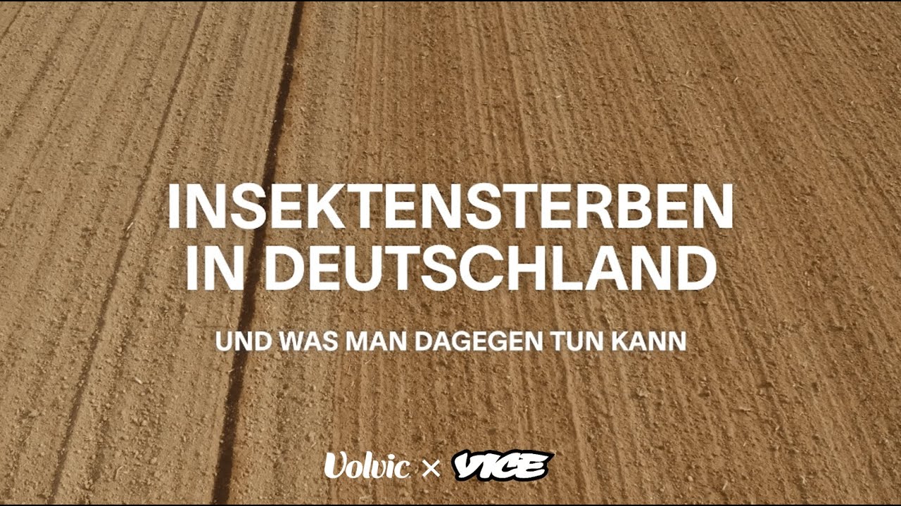 Insektensterben in Deutschland und was man dagegen tun kann