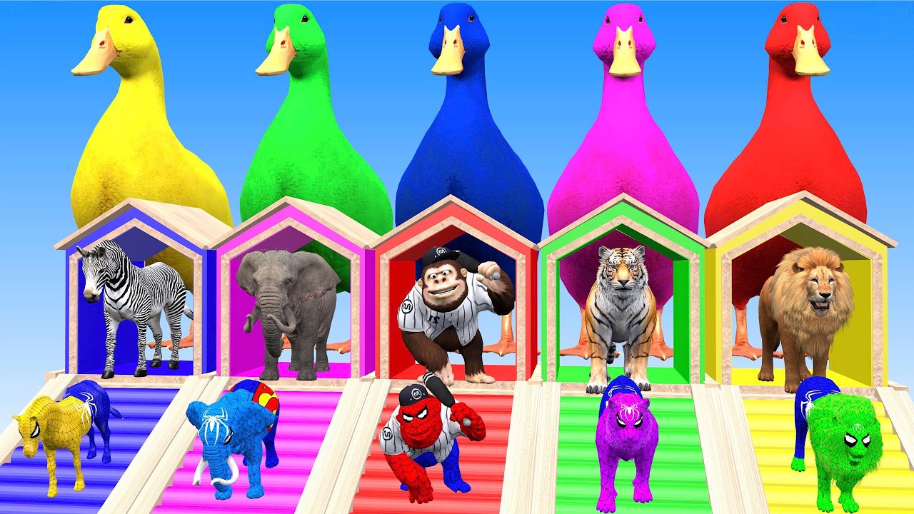 A fun 3D slide game featuring zoo animals – Animal Adventures