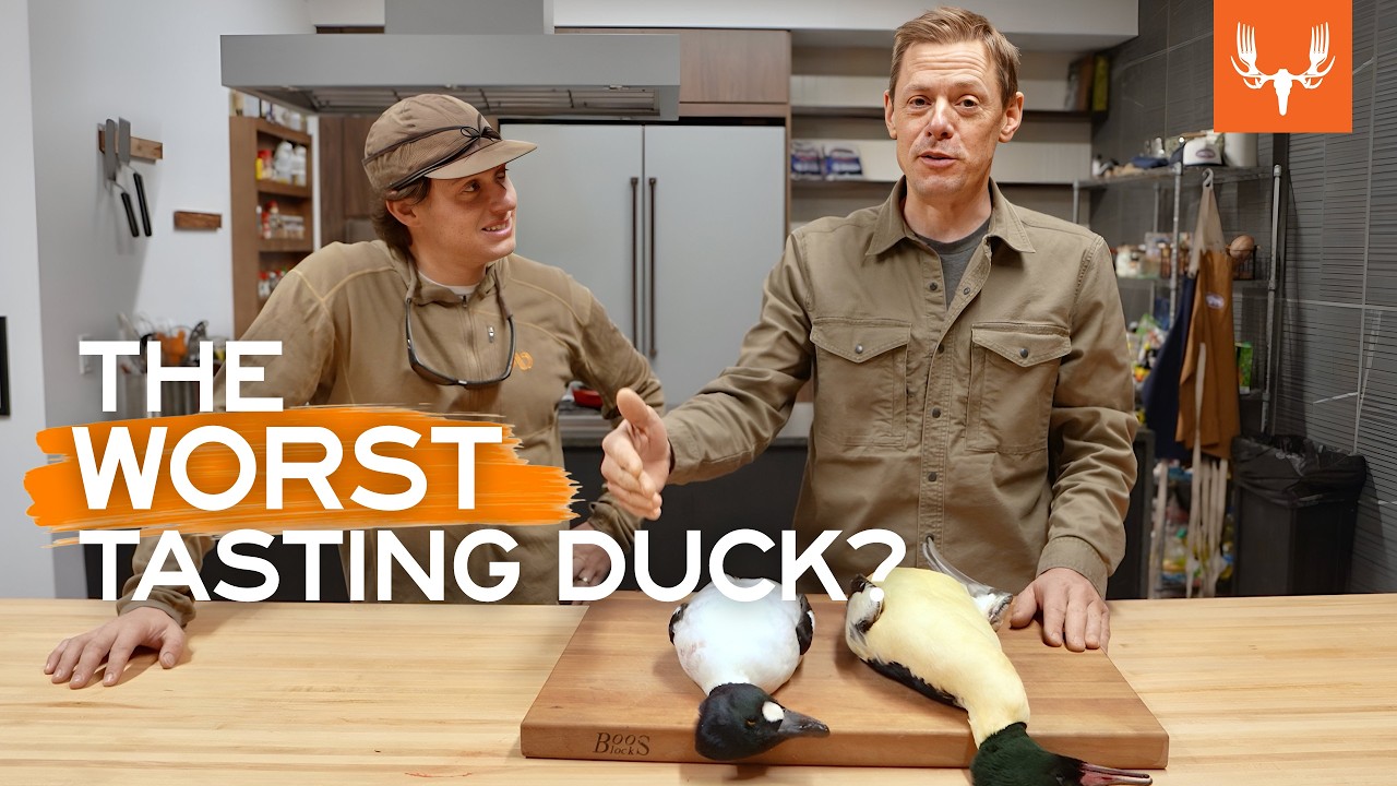 What's the Worst Tasting Duck? | With Steven Rinella | MeatEater