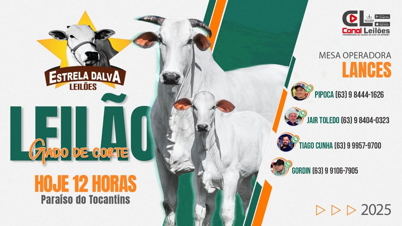 Canalleiloes.com  | LEILÃO ESPECIAL FIM DE ANO ESTRELA DALVA LEILÕES - PARAISO - TO | 21/12/2025