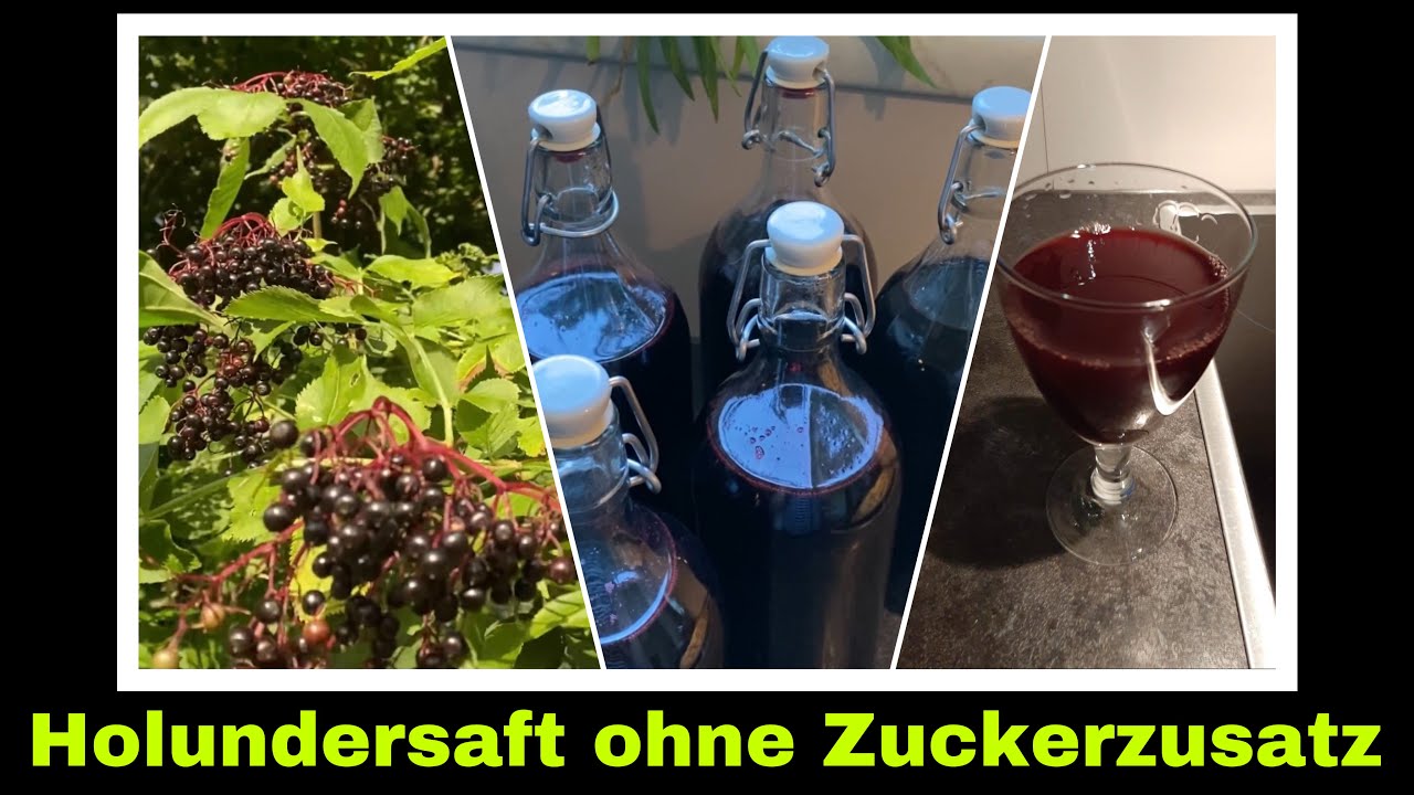 Holunderbeerensaft mit und ohne Entsafter | Holundersaft aus frischen Holunderbeeren selber machen