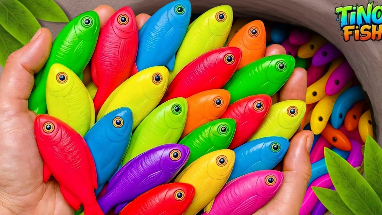 I get colorful ornamental fish in tiny pond, baby turtle, goldfish, platy fish, glass fish, eel,frog