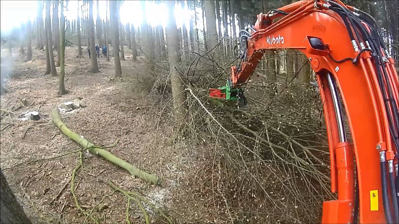 Energie-Holzzange Dorfmeister EHZ 250