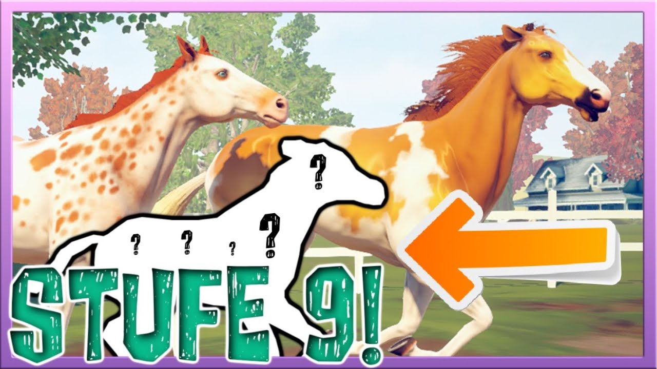 Unser ERSTES Stufe 9 FOHLEN ist da 🐴🧡 Rival Stars Horse Racing #176