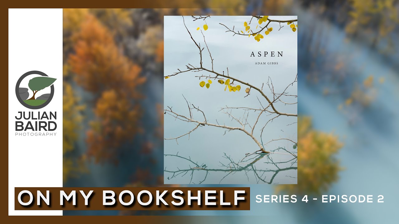 Aspen by Adam Gibbs and Published by Kozu Books - On My Bookshelf S04E02