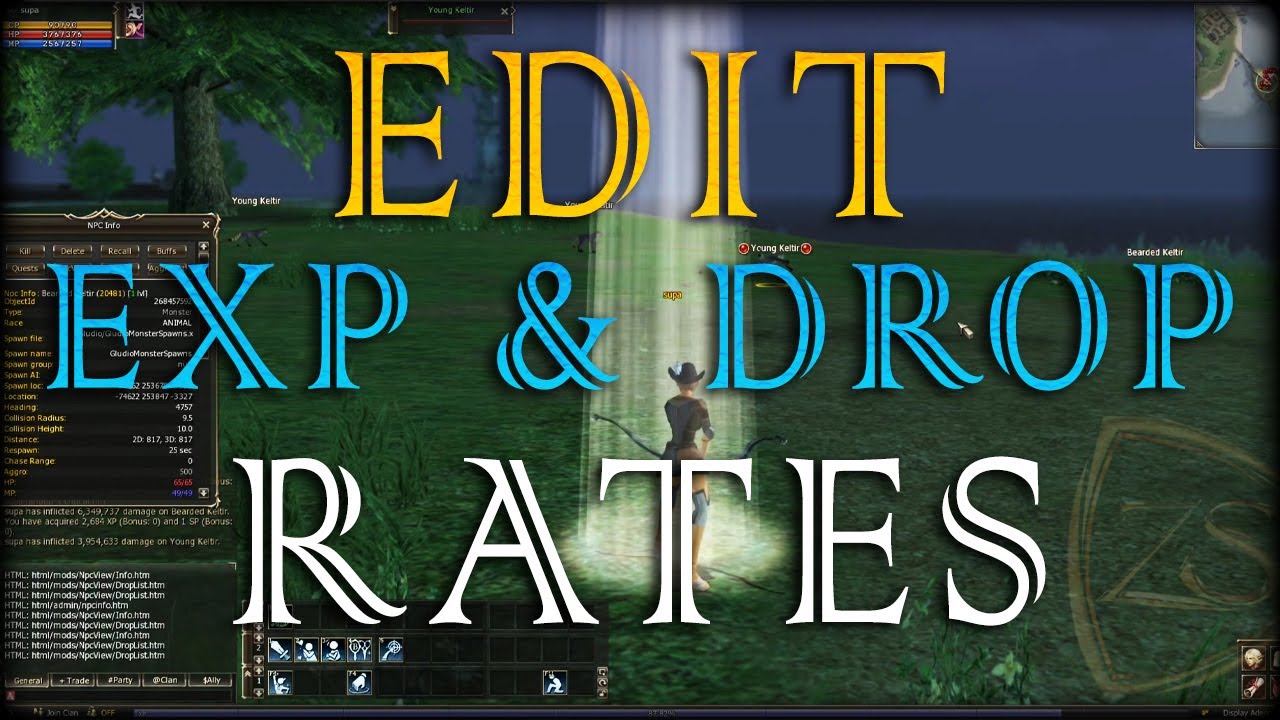 [ PART - 1 ] How to customize your Lineage 2 Server -  EXP & Drop Rates