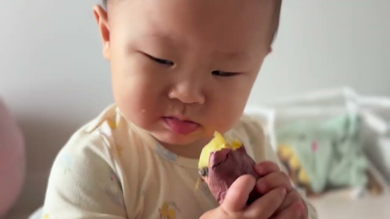 고구마같은 아기 고구마를 먹다
