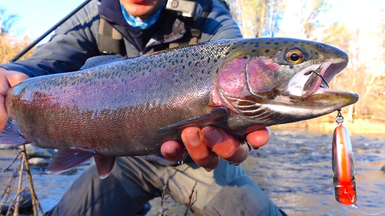 New Steelhead Technique, I can't believe this worked...