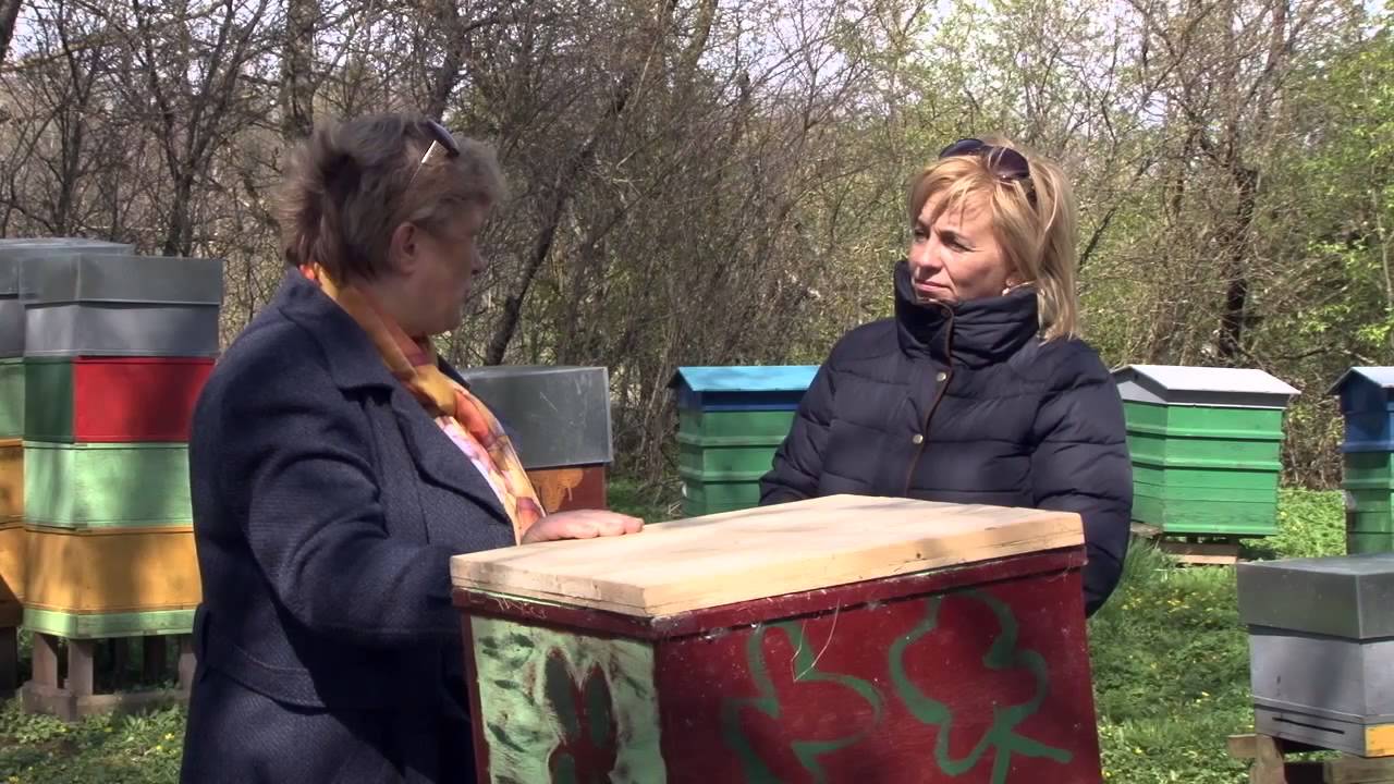 Mācību bišu drava Cīravā 5. 05. 2015