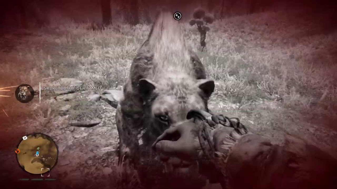 Playing Far cry Primal